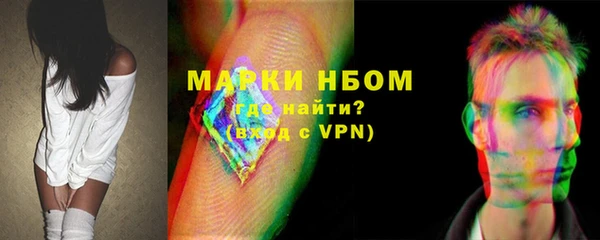 хмурый Ладушкин