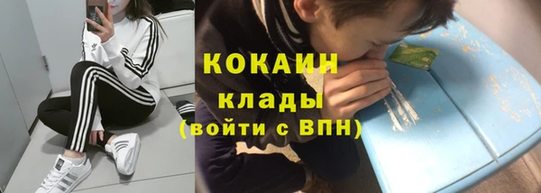 хмурый Ладушкин